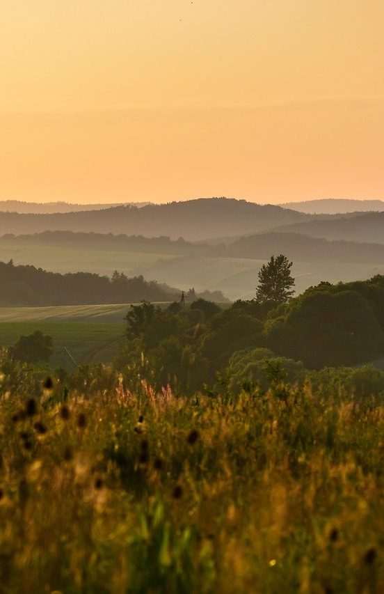 landscape, meadow, scenery, scenic, forest, trees, foliage, nature, landscape, meadow, meadow, meadow, meadow, scenery, scenery, scenery, scenery, scenery